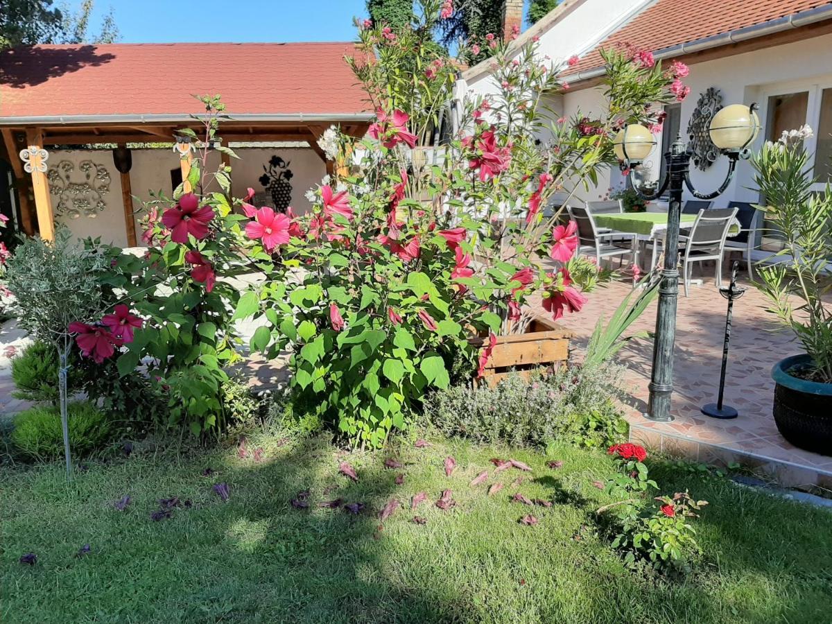 Elizabeth Apartman Tokaj Extérieur photo
